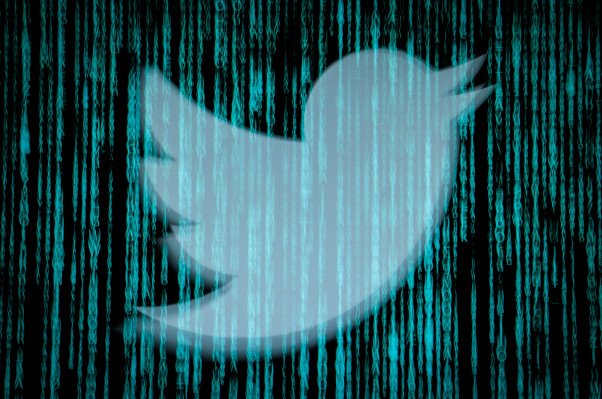A popular WordPress plugin leaked access tokens capable of hijacking Twitter accounts