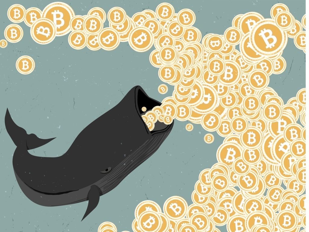 How To Trade Bitcoin Like A Whale, Not A Guppy