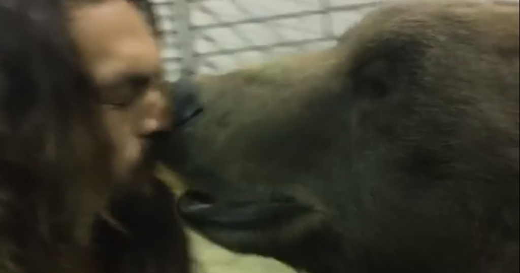 Obviously you’re watching this bear eat a cookie out of Jason Momoa’s mouth