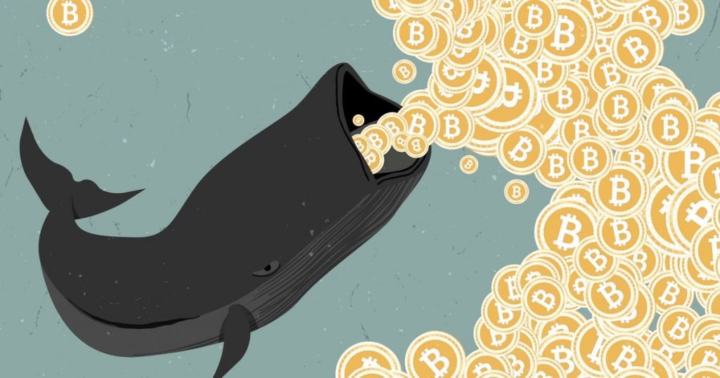 Bitcoin whale moves $1.1 billion in bitcoins for an $80 fee