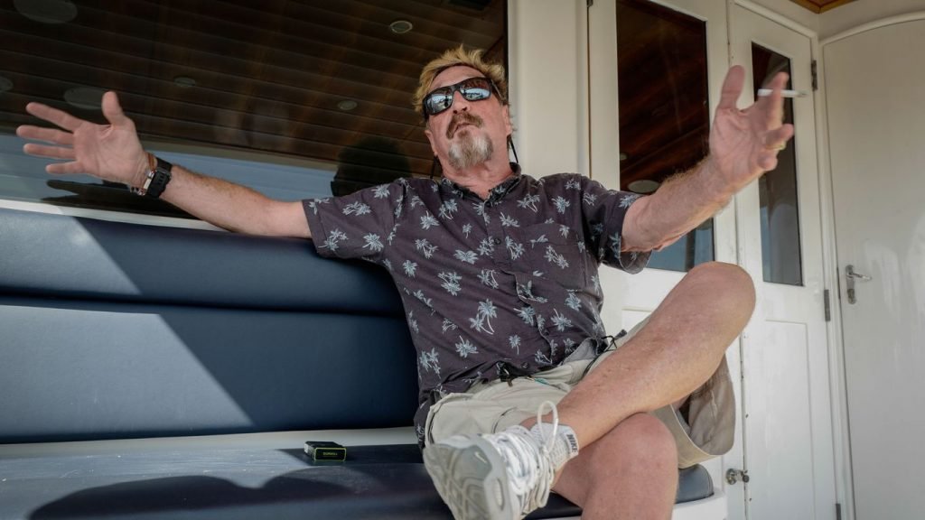 John McAfee indicted for alleged cryptocurrency pump and dump scheme