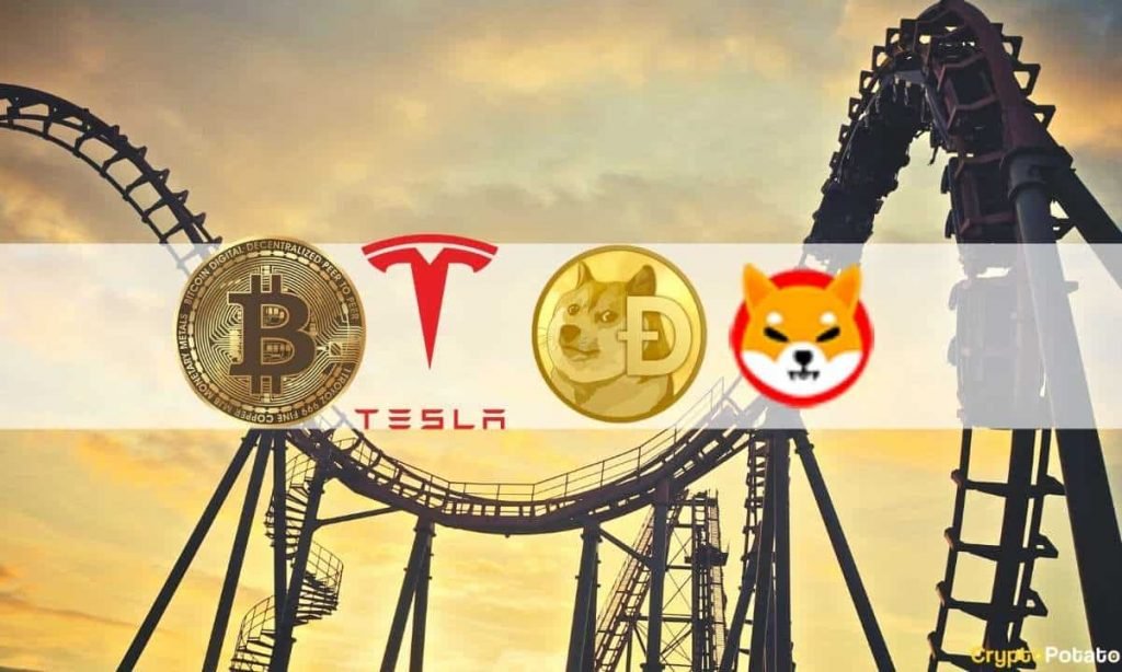 Shiba Inu (SHIB) Mania, Dogecoin, Tesla’s Bitcoin Halt and Crypto Market Volatility: The Weekly Recap