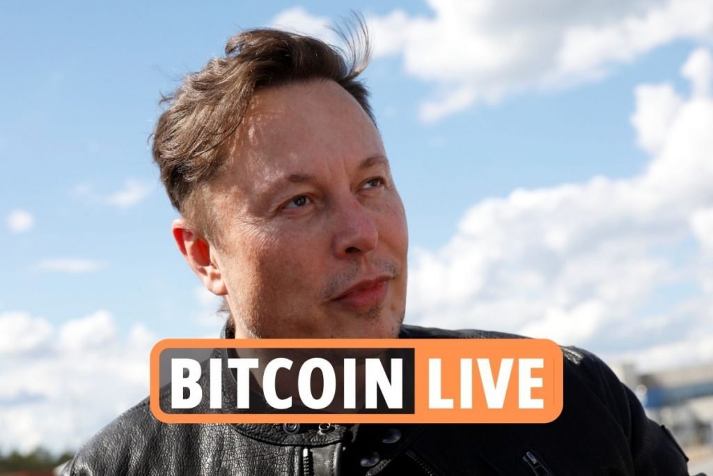 Bitcoin price news LIVE – Dogecoin founder thanks Elon Musk for tweet as cryptocurrency market stages comeback