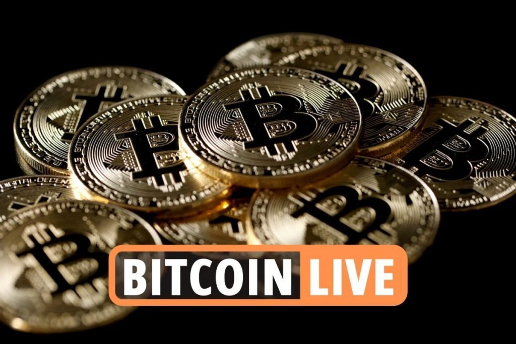 Bitcoin price news LIVE – Cryptocurrency BTC down one per cent as ethereum loses nearly five per cent in latest fall