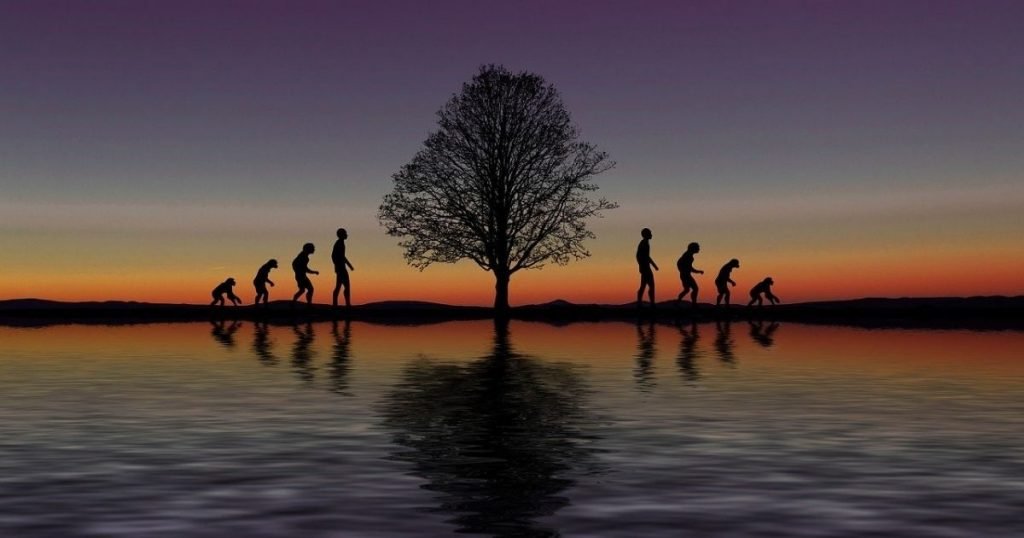 Unique Network | RMRK Partnership – More Use Cases for NFTs