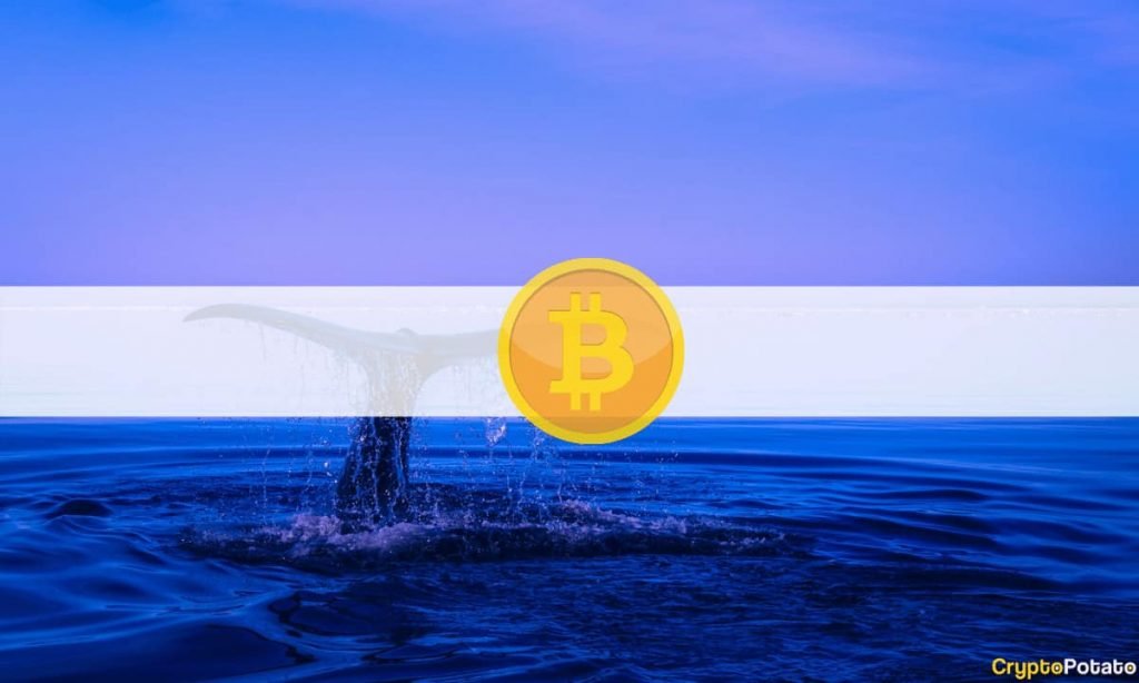 Bitcoin Shorts Hit 2-Year High on BitFinex: $30K Breakdown or Short Squeeze Incoming?