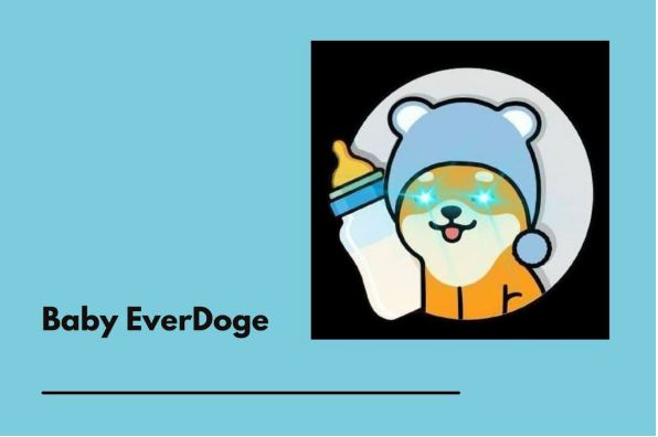 Baby EverDoge: Bringing Back Buy Backs to Crypto Industry Under a Deflationary Model