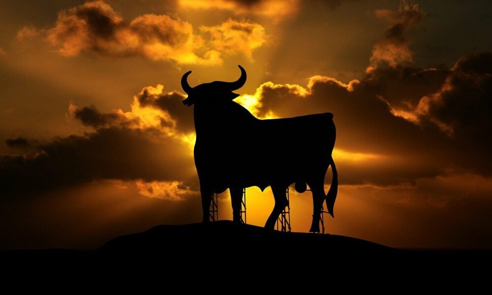 Let’s face reality… Is Bitcoin’s bull run really over?