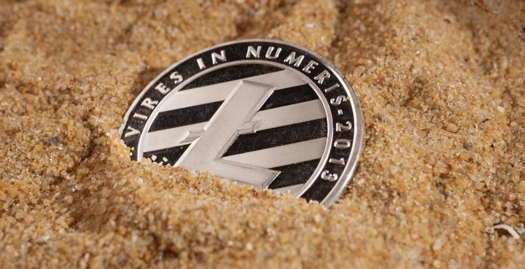 Litecoin Whales Have Increased Their Holdings by 270k LTC in July