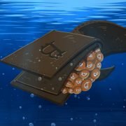 Bitcoin Whales Continue to Grow as BTC Charges Past $56k