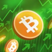 Bitcoin (BTC) Holders Awaiting New ATH as the Crypto Market Recovers Slowly