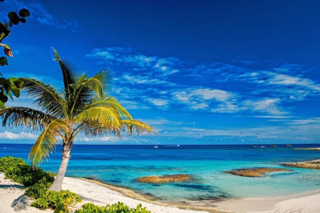 Crypto Investors Are Creating a DAO to Buy a Caribbean Island