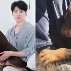 BTS: Jungkook’s ‘Baby Bam’ takes over social media and its cuteness OVERLOADED — view pics