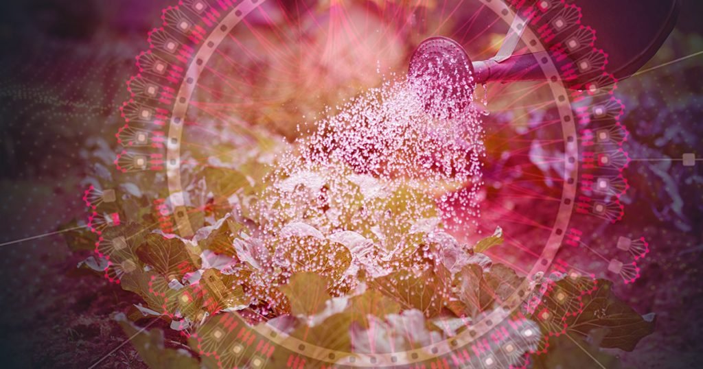 Liquidity solutions for the Polkadot ecosystem