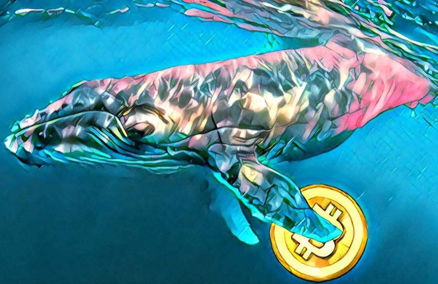 Unknown whale swiftly moves $432 million worth of Bitcoin