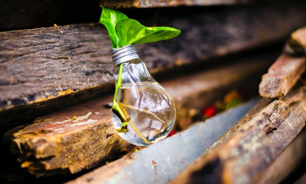 Here’s why this altcoin’s >50% single-day hike isn’t the whole story