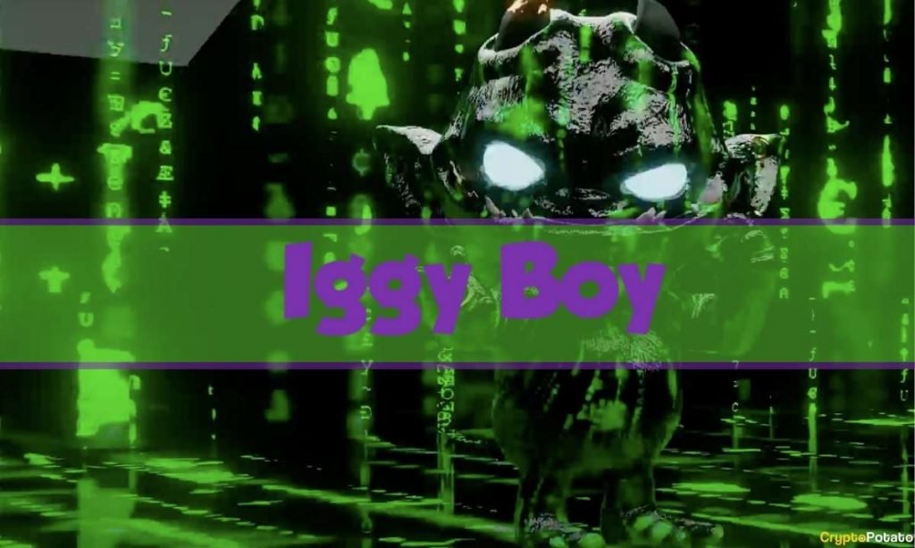 IggyBoy NFTs: 3D Non-Fungible Tokens Coming to the Metaverse