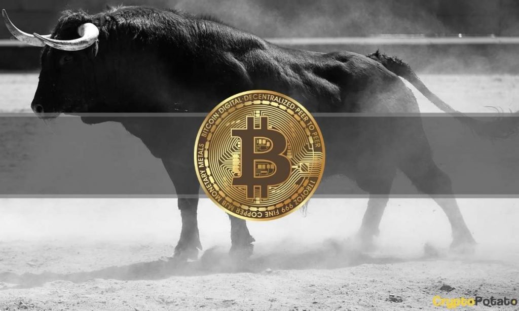 Bitcoin Explodes 18% in a Week, Total Market Cap Reclaims $2T: This Week’s Crypto Recap