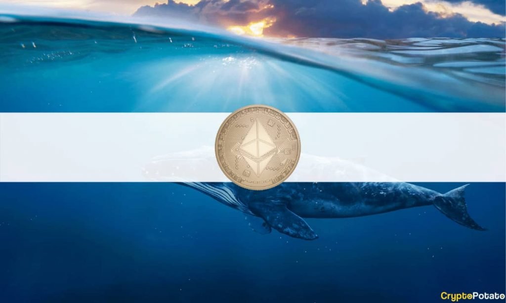 Top 100 ETH Addresses and Their Stacks: What Do Whales Hold?