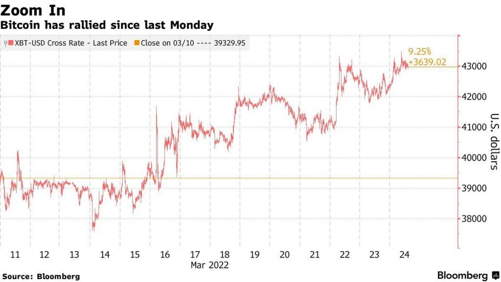 Bitcoin Mini-Rallies Go Nowhere as Even Bulls See Lost Year – Bloomberg