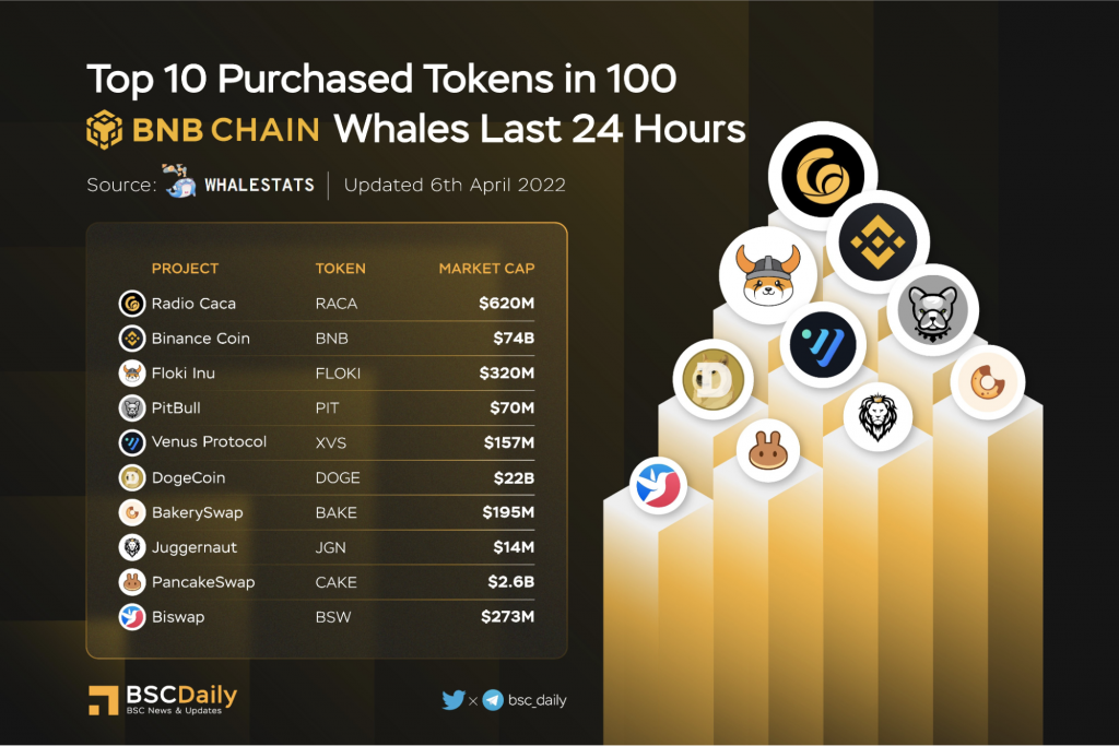 Radio Caca (RACA) Is the Most Purchased Cryptocurrency by BNBChain Whales, Surpassing DOGE and BNB