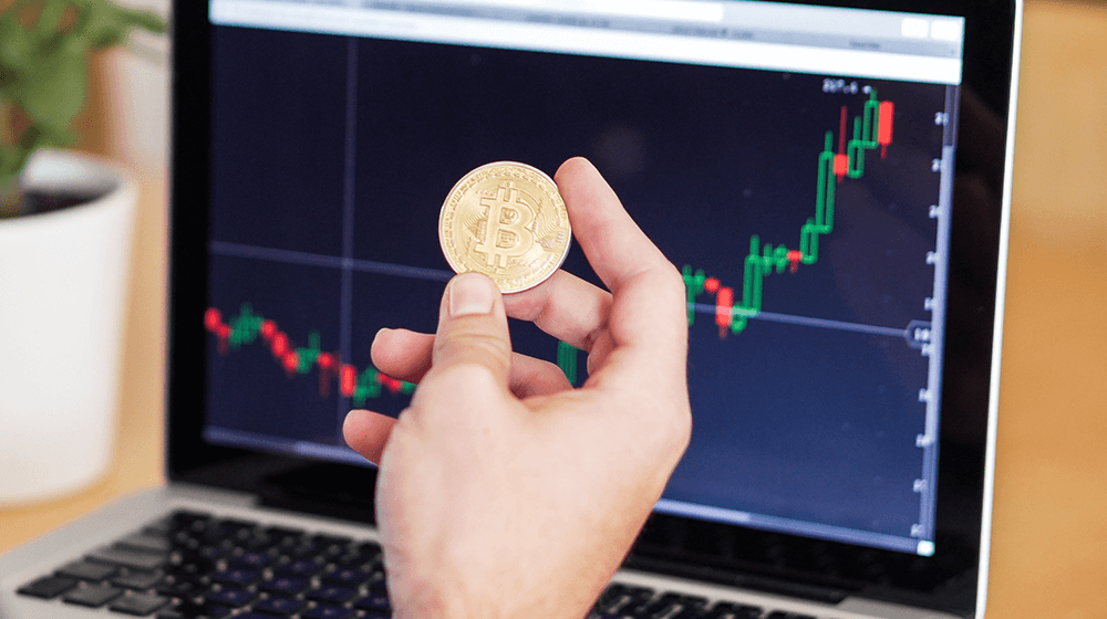 Take a Bitcoin Course Before You Start Investing