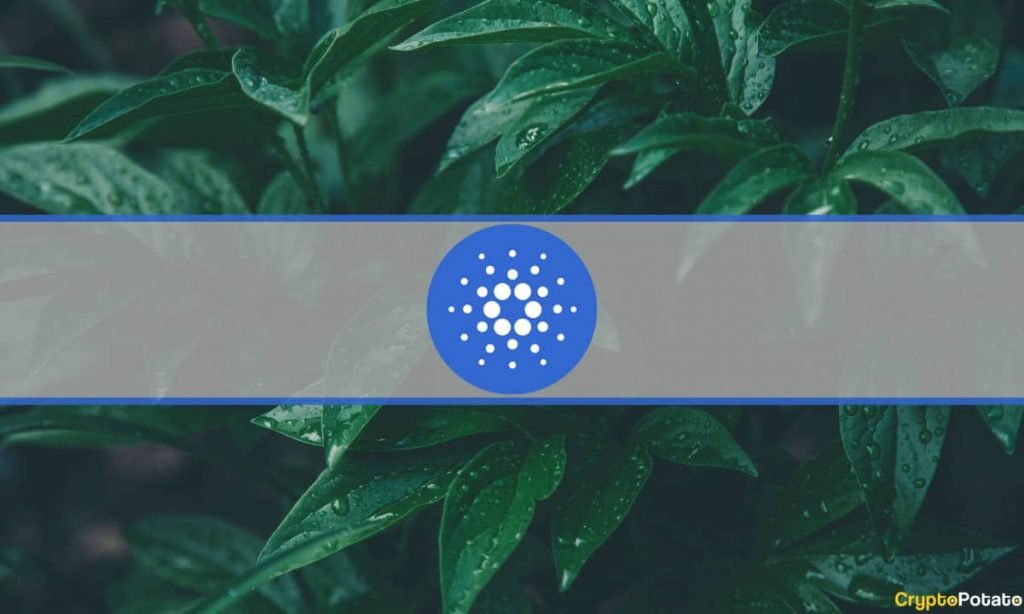 Cardano Jumps 6%, Bitcoin’s Consolidation Below $30K Continues (Market Watch)
