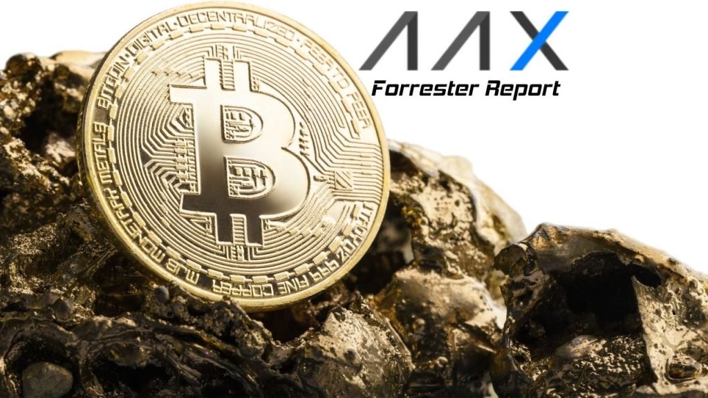AAX Forrester Report: The Use of Bitcoin in Emerging Markets