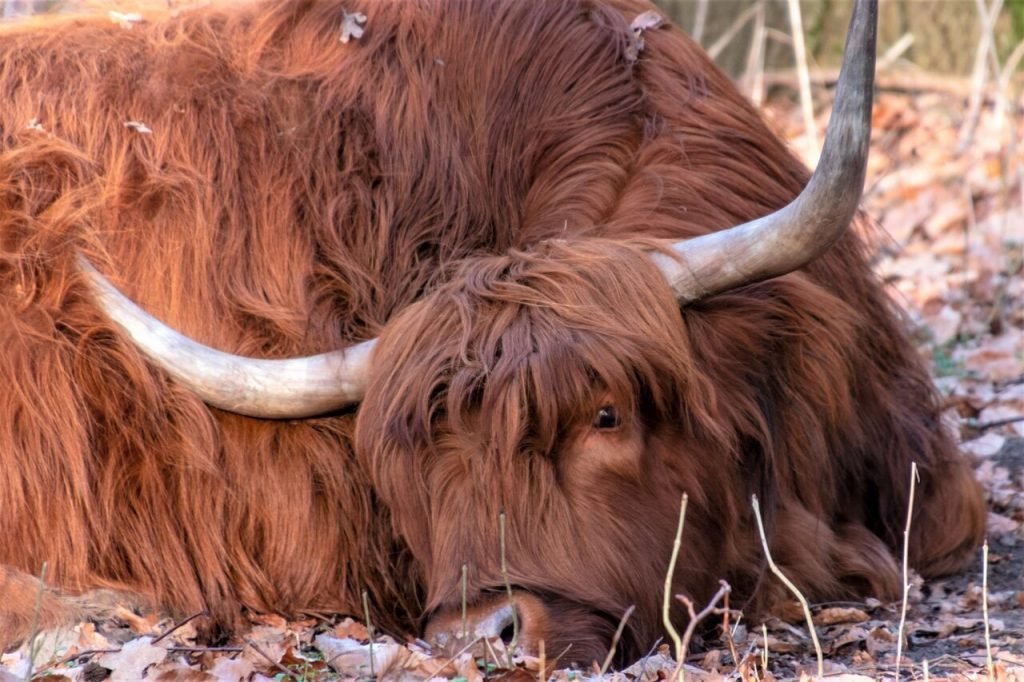 Bitcoin & Crypto Slip Amid ‘Signs of Exhaustion,’ BTC & ETH See Investment Inflows Again