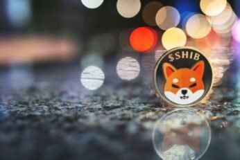 Shiba Inu (SHIB) Goes Green As Binance Visa Card Onboards Meme Coin
