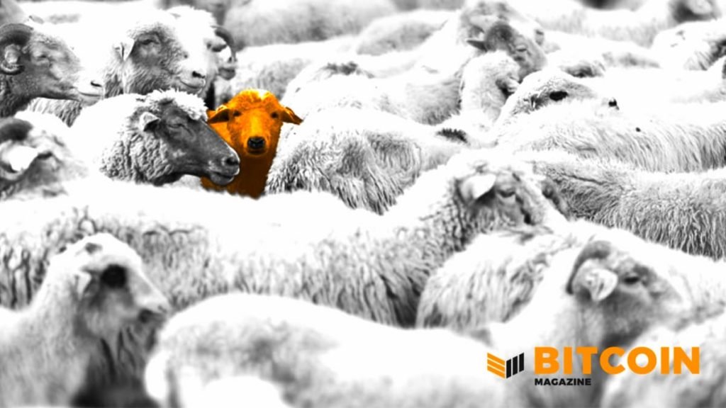 Freedom, Politics And The Future Of Bitcoin