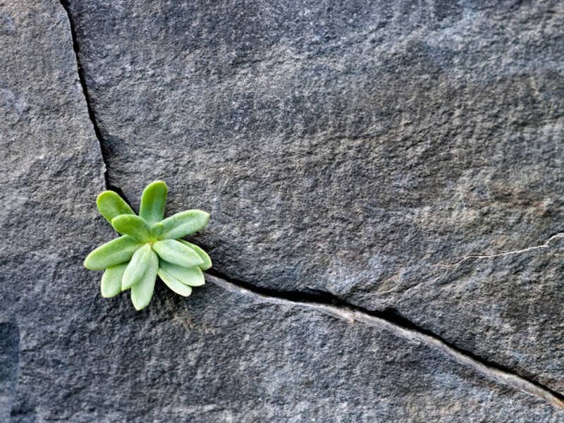 First Mover Asia: Bitcoin Holds Strong Over $19K; Why Is the Dollar Dominating?