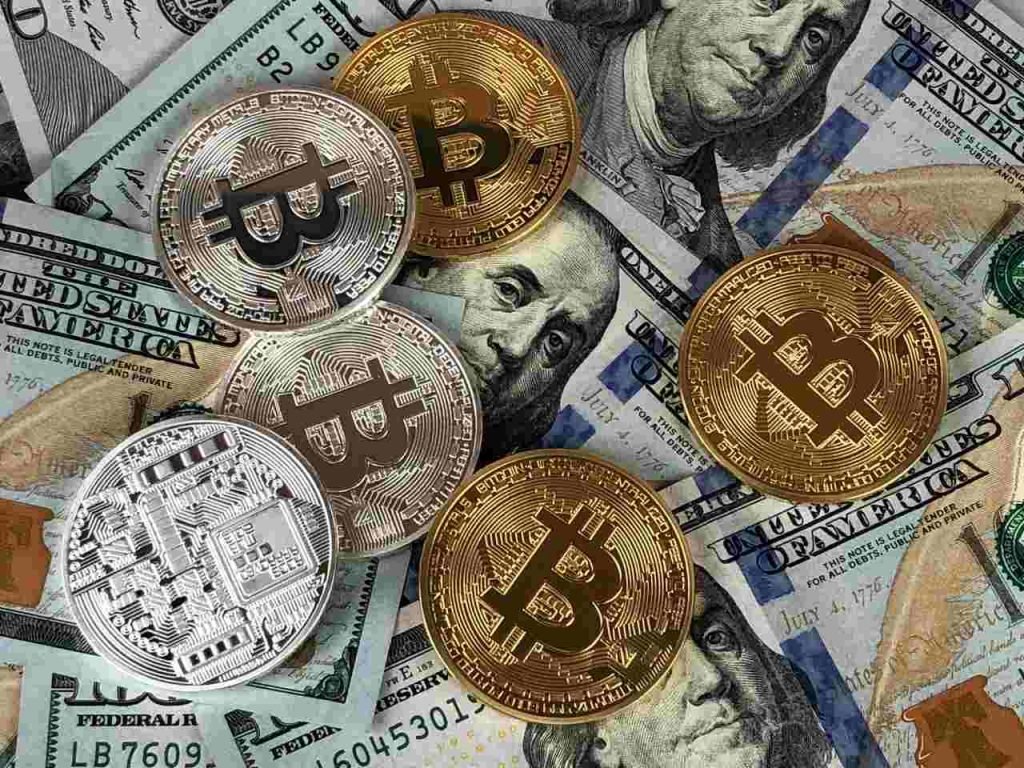 What is The Future of Cryptocurrency as TAMADOGE Sets New Heights?