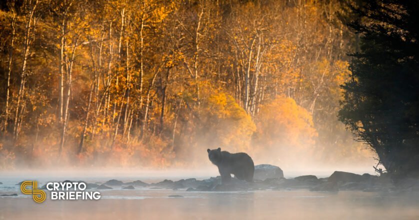 Crypto Winter Is Rough. Here Are Five Essential Survival Tips