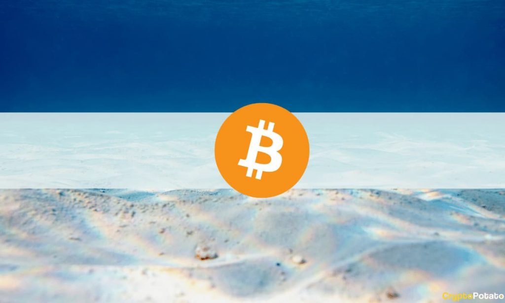 Despite Many Selling Bitcoin at Loss, Bottom Might Not Be Here Yet: Analysis