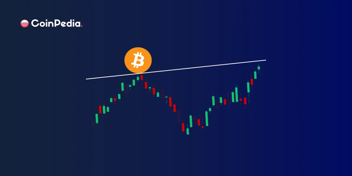 Bitcoin Bulls Vs Bitcoin Bears: Who Shall Prevail In 2023? 
