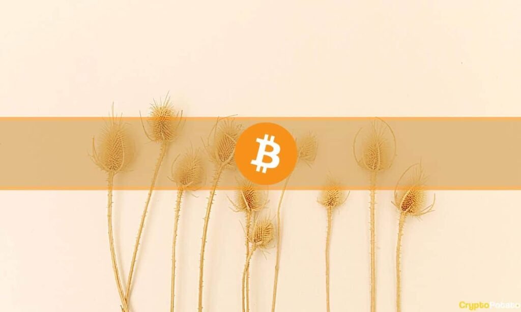 Bitcoin Fear and Greed Index Rises to ‘Neutral’ for the First Time in 9 Months