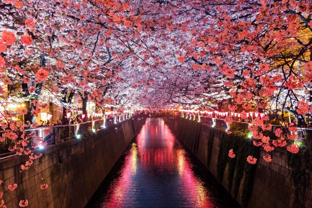 Here’s What FTX Japan Resumes Crypto Withdrawal Services