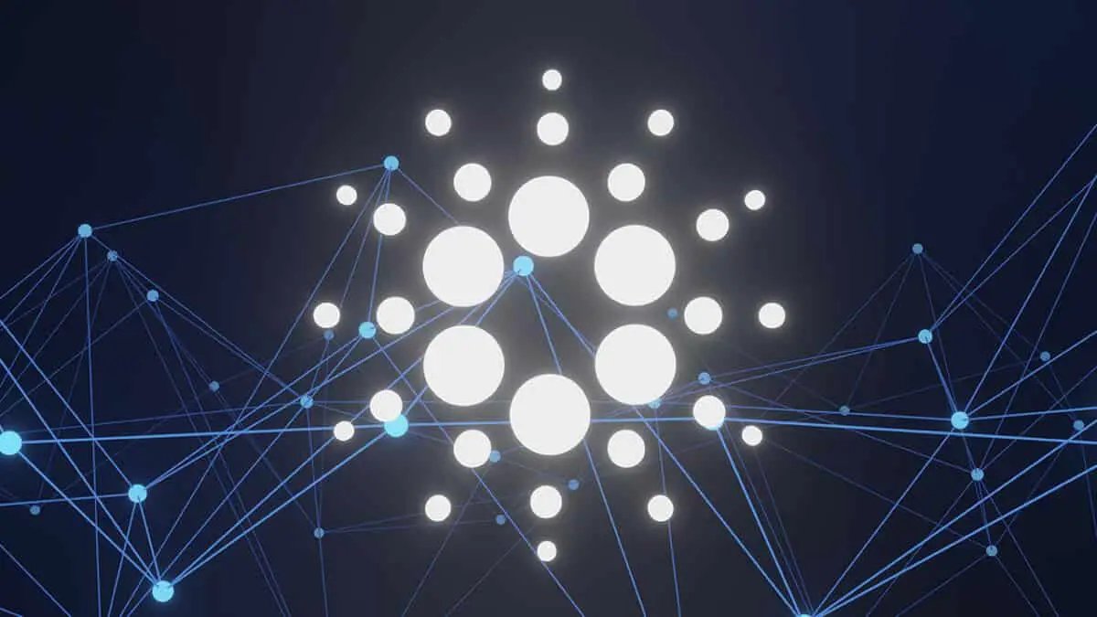 Cardano’s ADA Sees Surge In Large Transactions & Growing DeFi Ecosystem