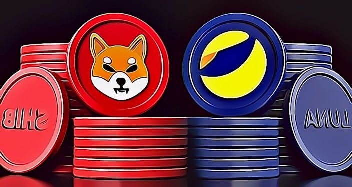 Terra Luna and Shiba Inu Whales Buying Into Newest Crypto ICO Avorak AI