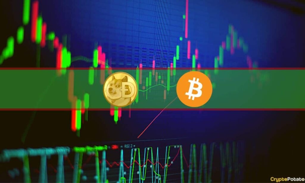 Bitcoin Faced Massive Volatility Amid Binance FUD, DOGE Skyrockets 25%: Market Watch