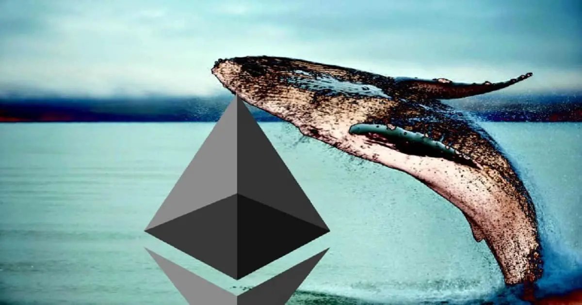 Ethereum’s Mysterious Whales: Accumulating Millions & Bullish On The Future