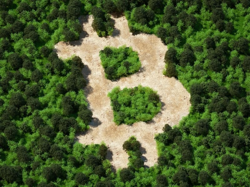 Bitcoin Should Be Central to Regulation of Digital Assets