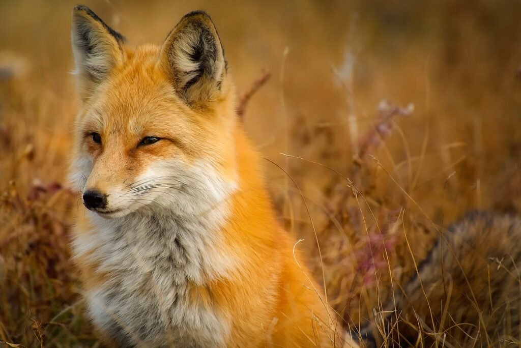 MetaMask Users And Crypto Holders Caught In $10.4 Million Unidentified Exploit