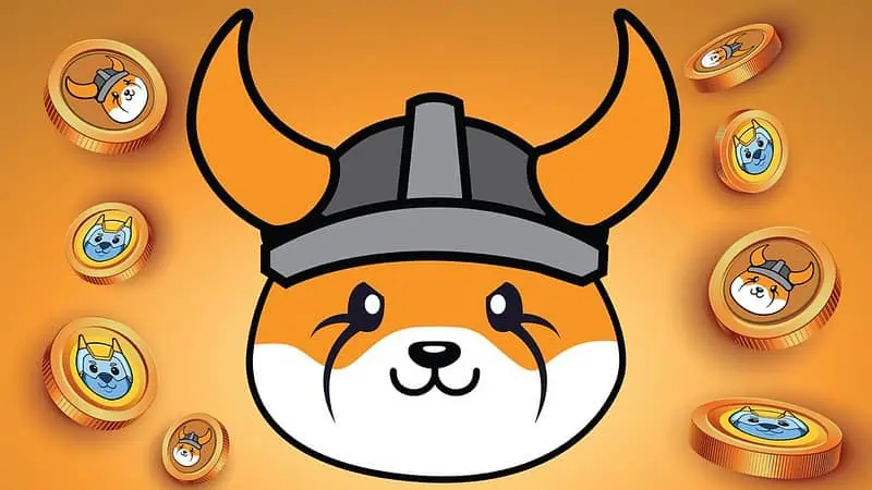 Meme Coin Frenzy: Floki & Pepe Coin Land On Brazil’s Mercado Bitcoin, Baby Doge Next In Line?