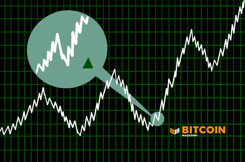 Valkyrie Investments Joins Flurry Of Firms Filing For Spot Bitcoin ETFs