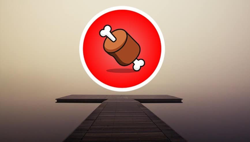 BONE Token Records 16% Price Growth As Community Awaits Shibarium Launch 