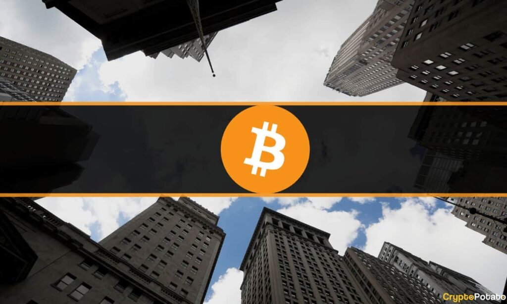 Bitcoin Vs. BTC Companies: What’s The Better Buy?
