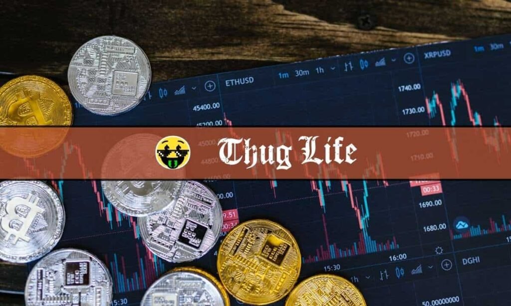 Which Low Market Cap Crypto Might Have Upside Potential: Why Big Eyes Coin, RenQ Finance Failed