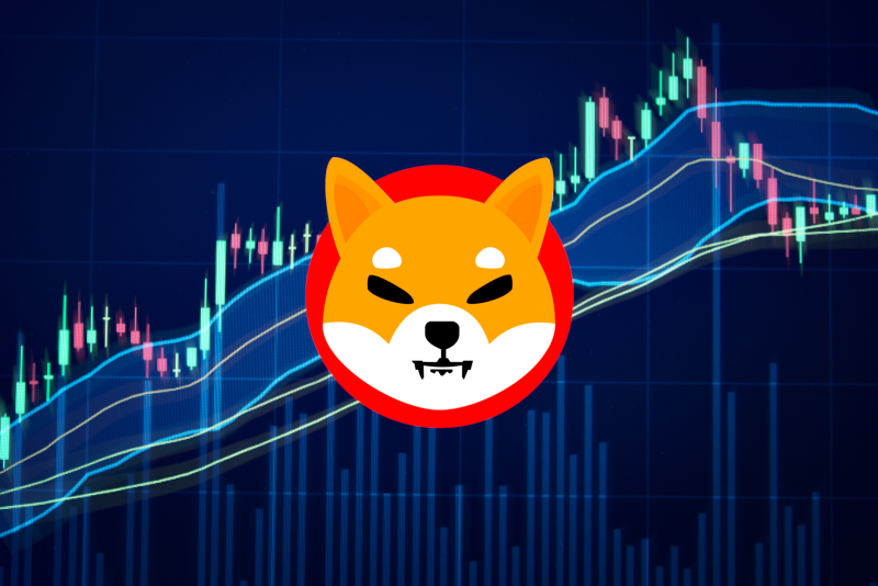DigiToads and Shiba Inu Breaking Records With Massive On-Chain Growth: What It Means